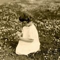 Charlotte_Hahn_In_the_Daisies_Ausschnitt