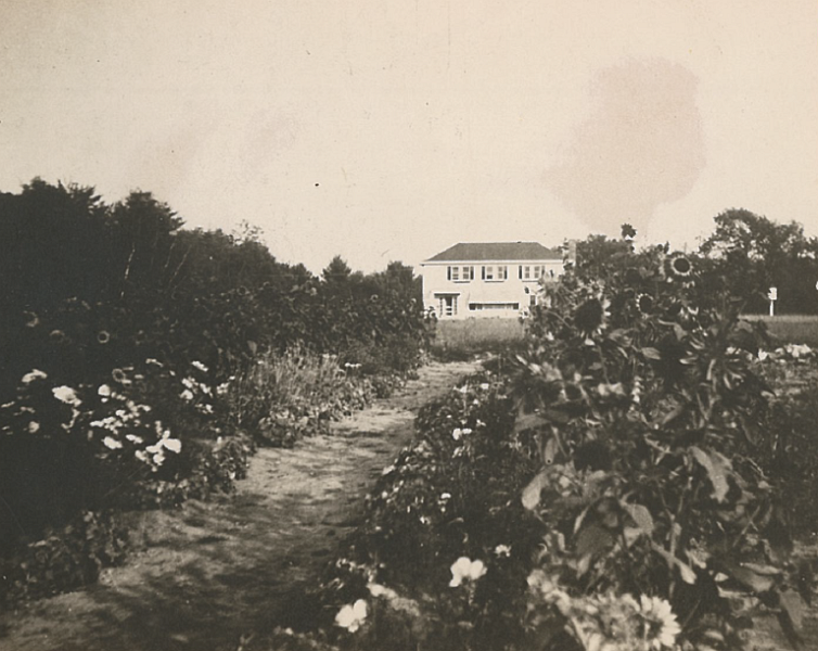 Heathview_Garden_for_Children_six_weeks_after_start.PNG - Heathview. Garten für Kinder, sechs Wochen nach dessen Start, vermutlich um 1950. Undatiertes Foto im Besitz der Familie Beate Jastrow Hahn.