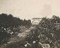 Heathview_Garden_for_Children_six_weeks_after_start