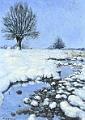 de_Waal_Winterlandschaft